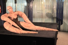 Squid Performance 004 * 5184 x 3456 * (4.24MB)